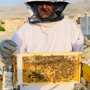 عسل طبیعی مشگین شهر